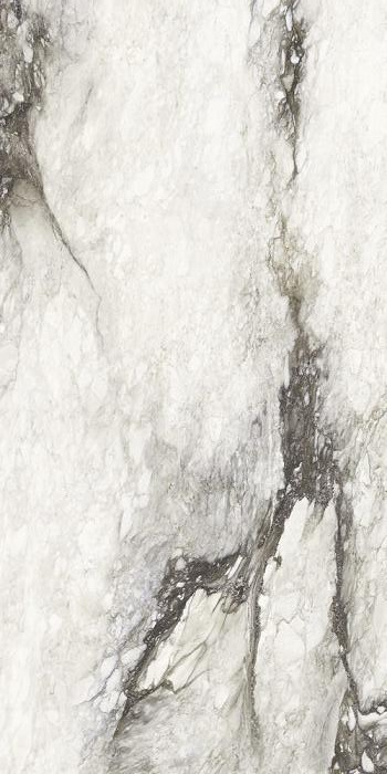 ETOILE RENOIR GLOSSY от Rex