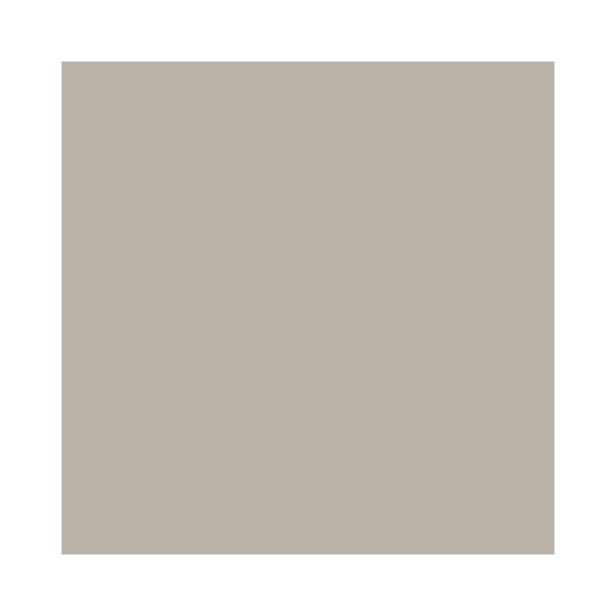 SILK FD-CAMEL NATURAL 150X320 ITOP 6mm R