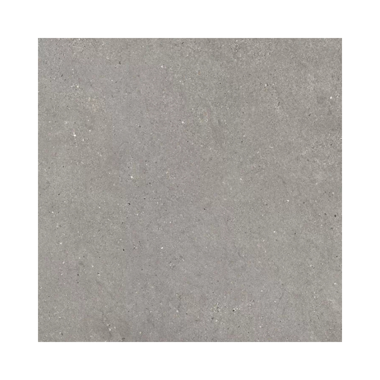 MITICA GRIS 120X120