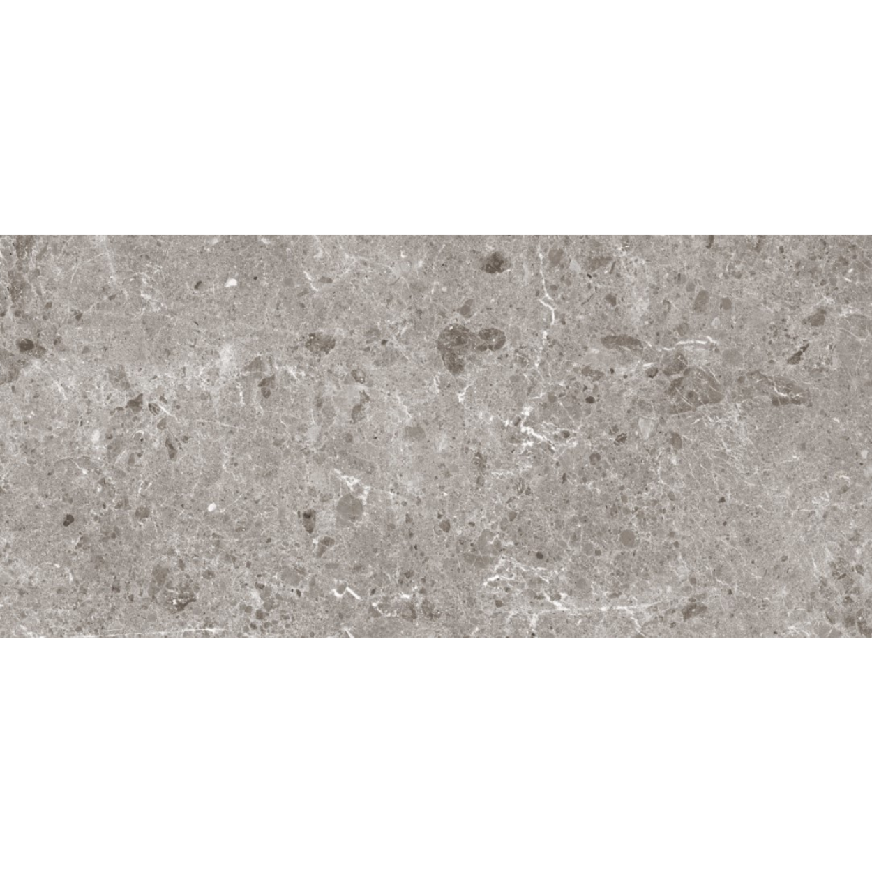 Широкоформатный керамогранит Coverlam Artic Gris 78RC37P 1200x2600 мм